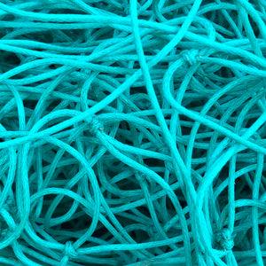 recycled Green fishing net sea turtle florida